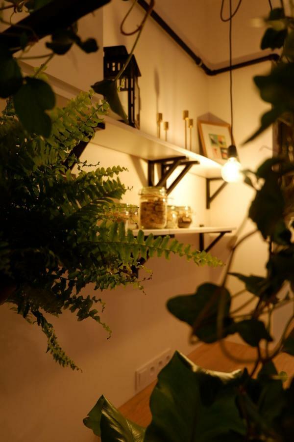 Singer Apartment Old Town Краков Экстерьер фото